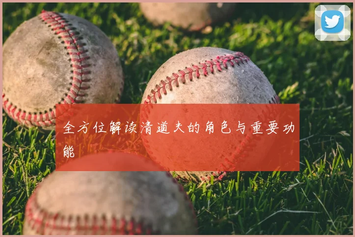 全方位解读清道夫的角色与重要功能